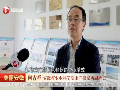《安徽经视》：安徽cctv10在线直播：推进科技成果转化 助力乡村振兴